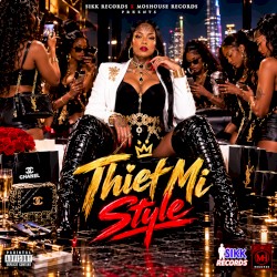 Thief Mi Style