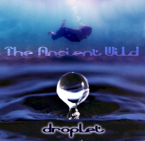 Droplet