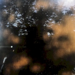 Black Sun