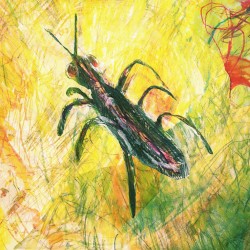 Bug