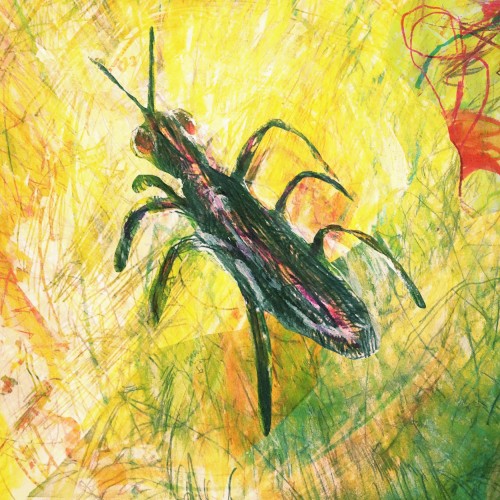 Bug