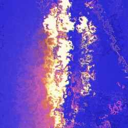 Lionfish / Here 2 Stay