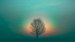 Veni Creator Spiritus