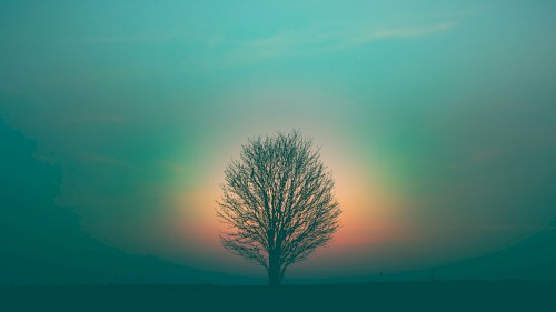 Veni Creator Spiritus
