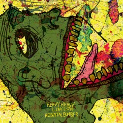 Hospital Bomber