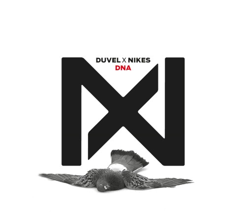 DNA