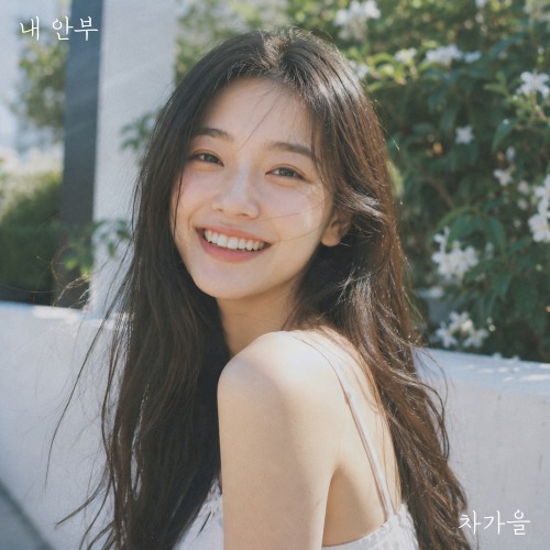 내 안부