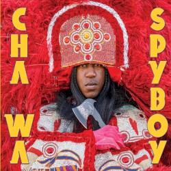 Spyboy