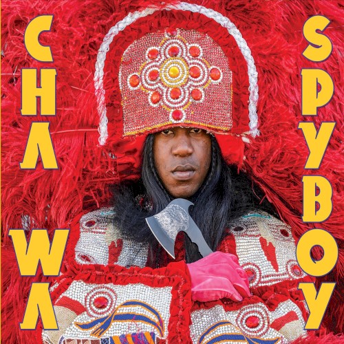 Spyboy