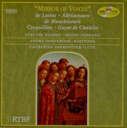 Mirror of voices