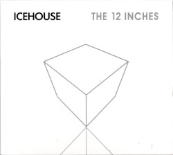 12 Inch Versions & Remixes Vol.1