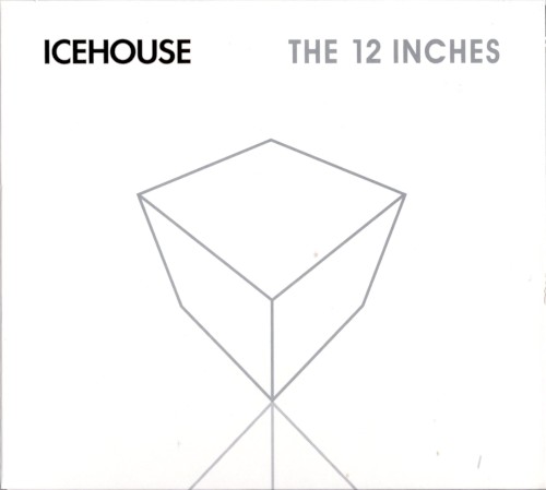 12 Inch Versions & Remixes Vol.1