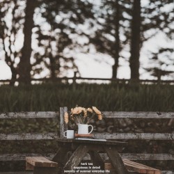 Herb Tea