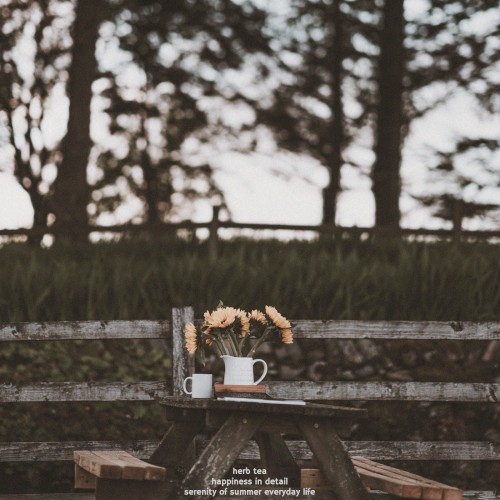 Herb Tea
