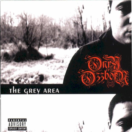 The Grey Area