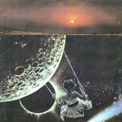 The Night We Saw the Sun