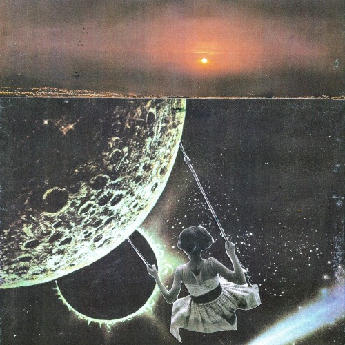 The Night We Saw the Sun