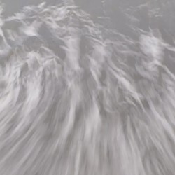 Wave Of Life