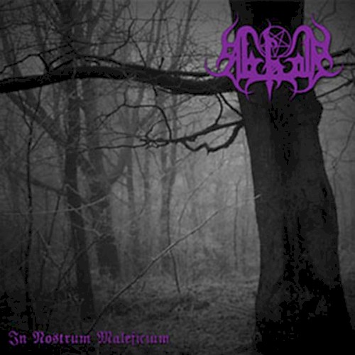 In nostrum maleficium