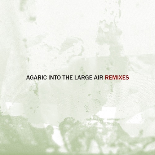 Into The Large Air