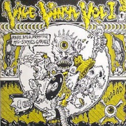 Vile Vinyl, Volume 1: Rare, Wild, Primitive Mid‐Sixties Garage