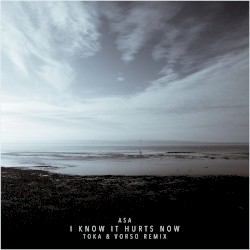 I Know It Hurts Now (Toka & Vorso remix)