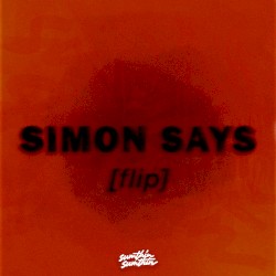 Simon Says Flip