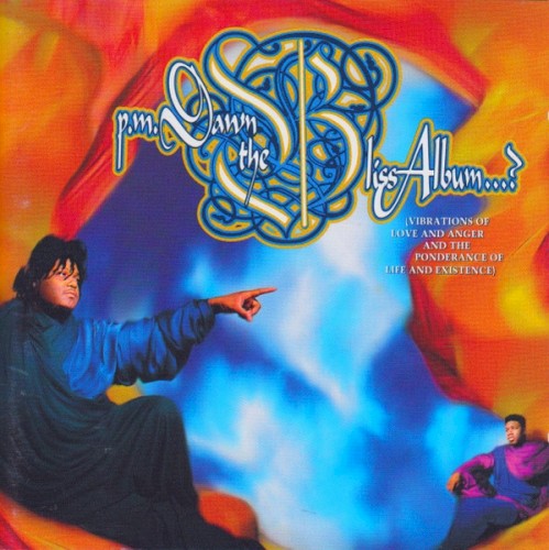 The Bliss Album…? Vibrations of Love and Anger and the Ponderance of Life and Existence