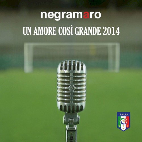 Un amore così grande 2014