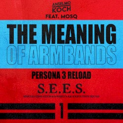 The Meaning of Armbands (Persona 3 Reload)
