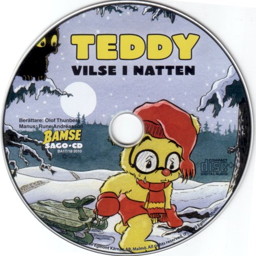Teddy vilse i natten