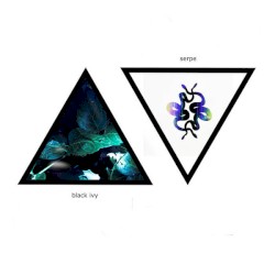 Black Ivy / Serpe
