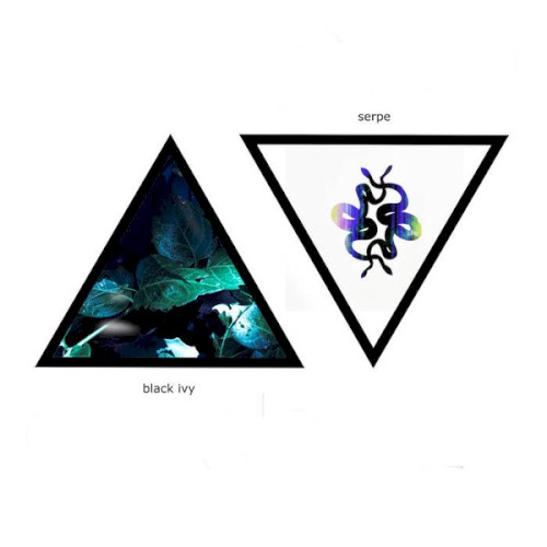 Black Ivy / Serpe