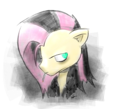 The Other Side of Shy