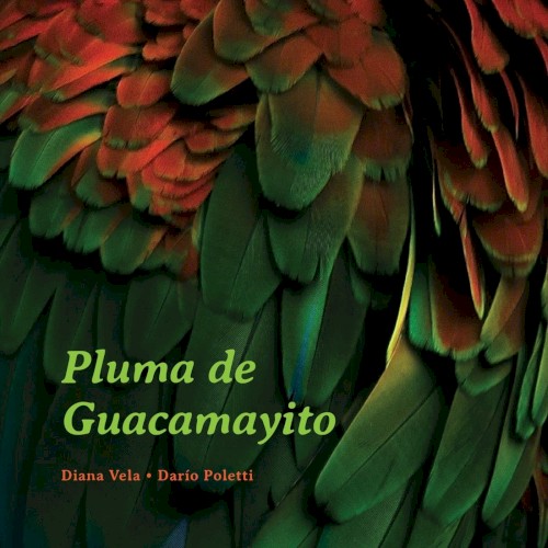 Pluma de guacamayito