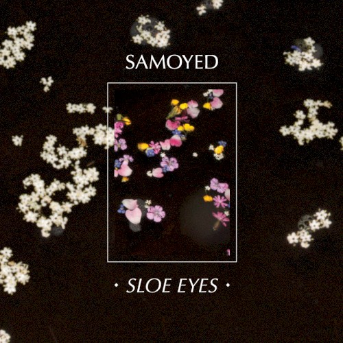 Sloe Eyes / Guts