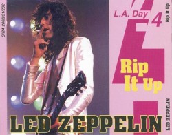Rip It Up