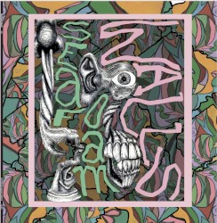 XVI