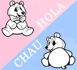 Hola/Chau