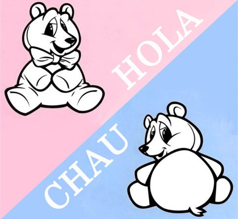 Hola/Chau