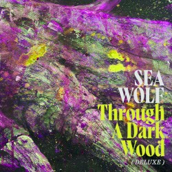 Through a Dark Wood