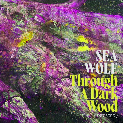 Through a Dark Wood