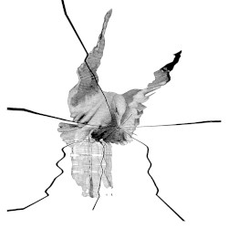 Interform / Untunnel