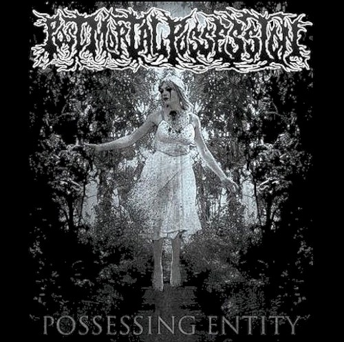 Possessing Entity