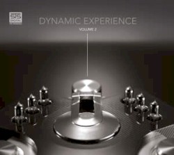 Dynamic Experience, Volume 2