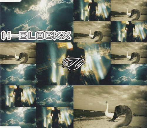 Fly