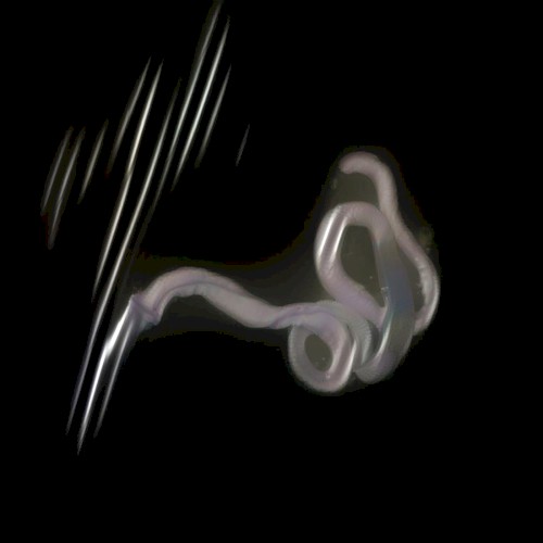 Selected Spectral Works 6