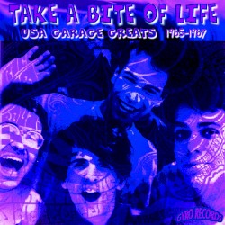 USA Garage Greats 1965–1967: Vol. 165: Take a Bite of Life