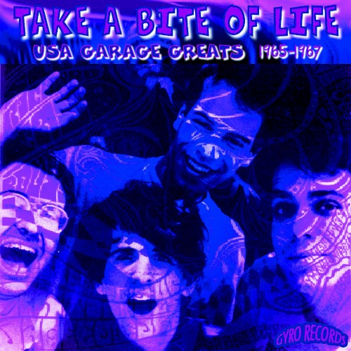 USA Garage Greats 1965–1967: Vol. 165: Take a Bite of Life
