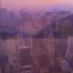 市 ／ 自然